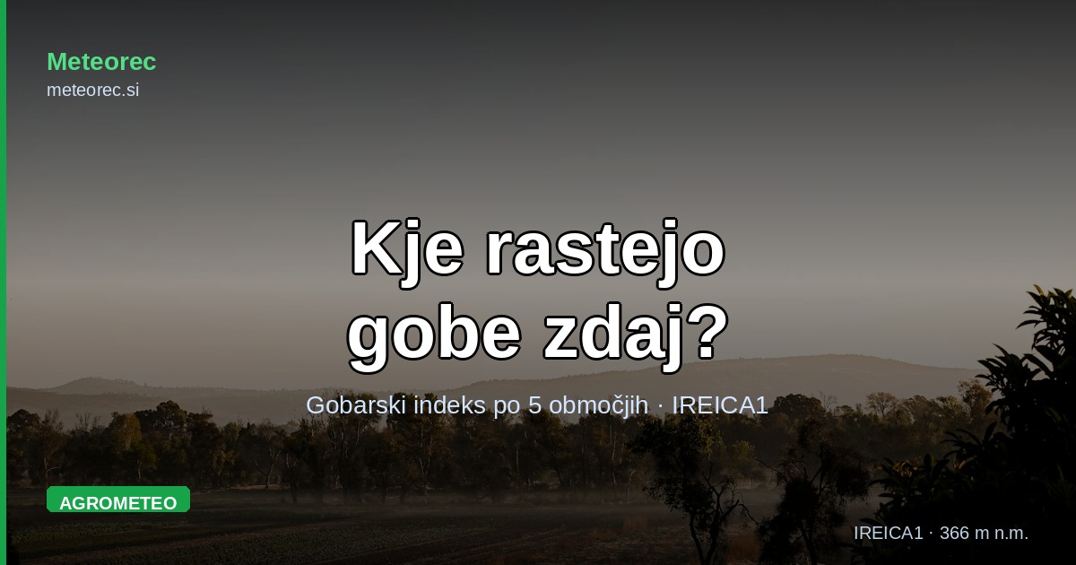 Kje v Zgornji Savinjski dolini rastejo gobe zdaj: gobarski indeks po petih območjih