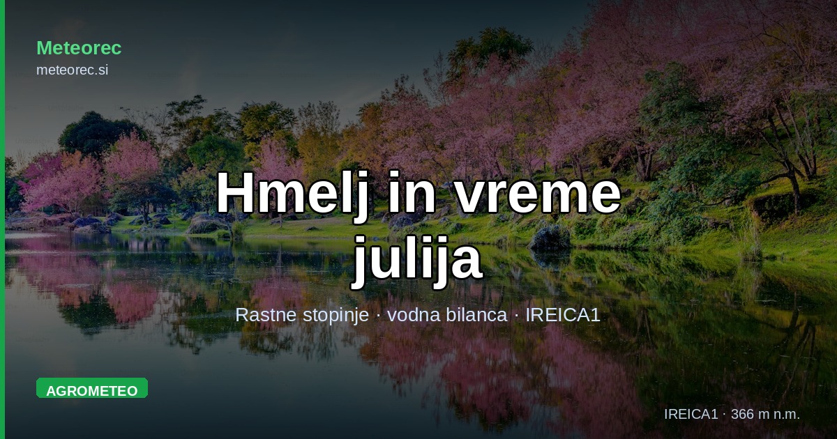 Hmelj in vreme julija: rastne stopinje in vodna bilanca v Zgornji Savinjski dolini